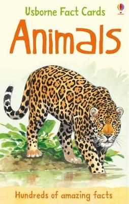 ANIMALS: USBORNE FACT CARDS ANIMALS: USBORNE FACT CARDS